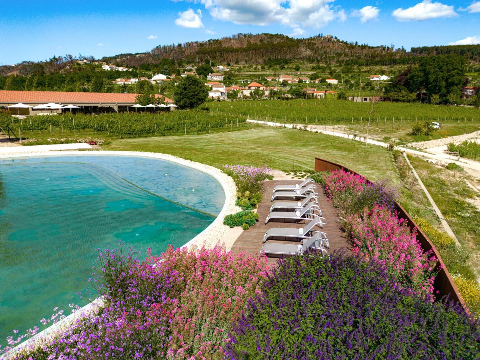 Lavandeira Douro Nature & Wellness Ancede Exterior photo